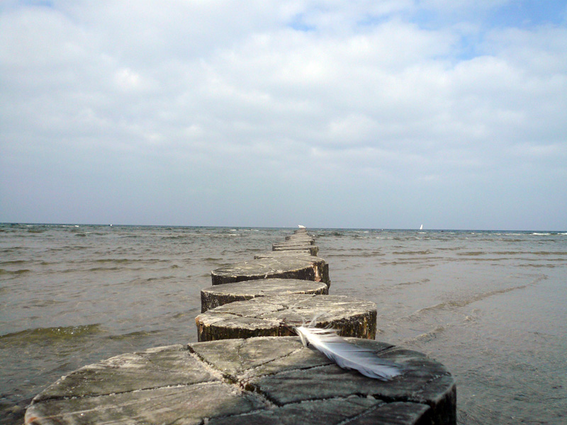 Bilder Inselhaus Poel